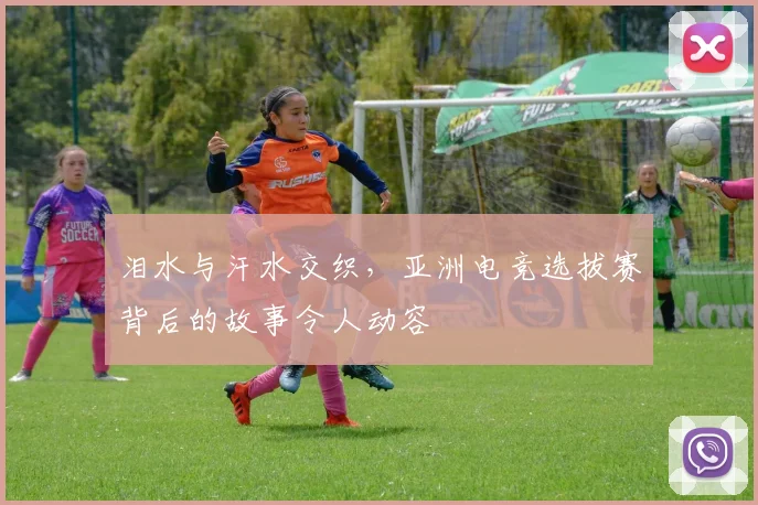 泪水与汗水交织，亚洲电竞选拔赛背后的故事令人动容