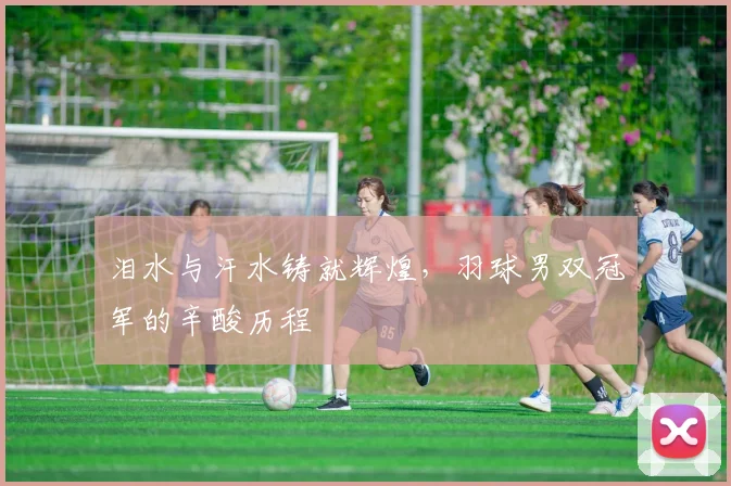 泪水与汗水铸就辉煌,羽球男双冠军的辛酸历程