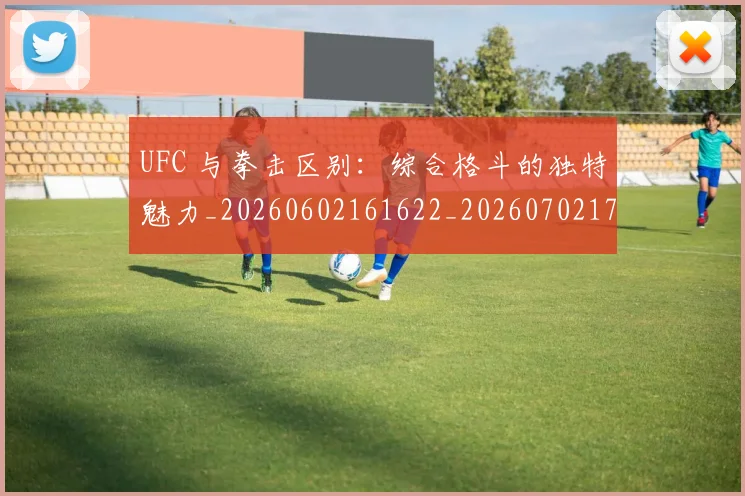 UFC 与拳击区别：综合格斗的独特魅力_20260602161622_20260702171155