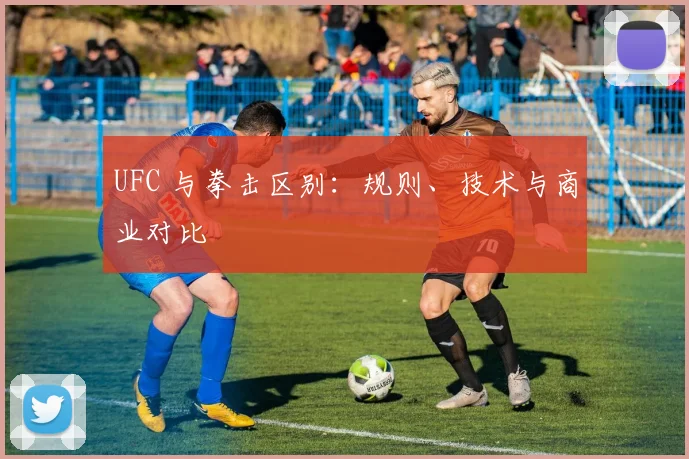 UFC 与拳击区别：规则、技术与商业对比