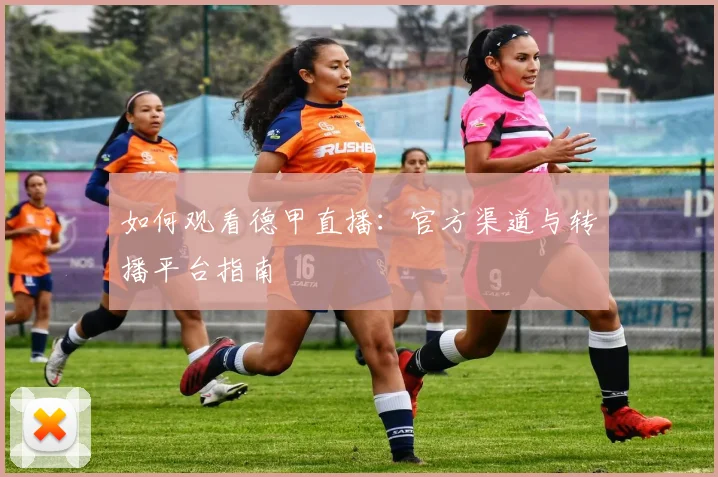 如何观看德甲直播：官方渠道与转播平台指南