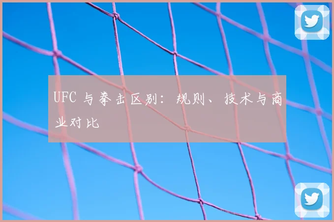 UFC 与拳击区别：规则、技术与商业对比